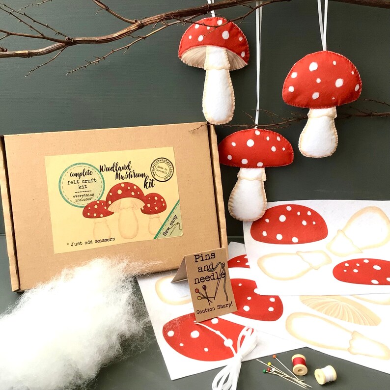 Woodland Mushroom decorations DIY Kit