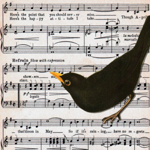 Blackbird music