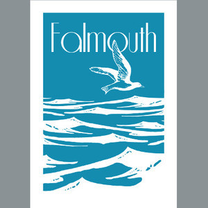 Cornish Gull Falmouth Print - Click Image to Close